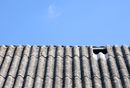 Wymieniamy dach - jak bezpiecznie usunąć toksyczny eternit?